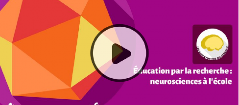 Éducation par la recherche : neurosciences à l’École
