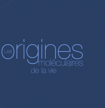 MOOC : Les origines moléculaires de la vie